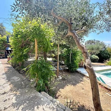 Casa Pindar روساس