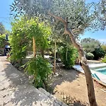 Casita Bouganvilla Roses